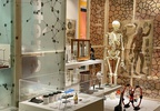 Viu la cultura: Museu de l'Educació de les Illes Balears